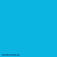 Oceans Day Gifs Get The Best Gif On Giphy Oceans Day Gifs Get The Best Gif On Giphy