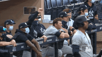 Yell New York Yankees GIF by MLB