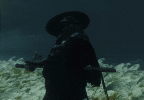 Sekiro GIF