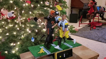 Pittsburgh Steelers Football GIF by Storyful