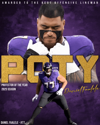 Baltimore Ravens GIF