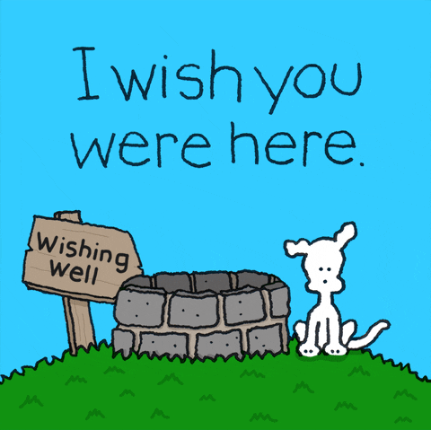 I Miss You Love GIF by Chippy the Dog