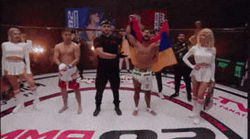 Armenian Flag Mma GIF by Yerevan