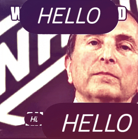 Gary Bettman Hello GIF
