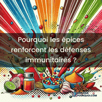 expliquepourquoi-pices-dfenses-immunitaires-proprits-antioxydantes-NNQzLv2QZsVt3DrSlg