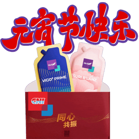 Chinese New Year Cnigif Sticker by CNI