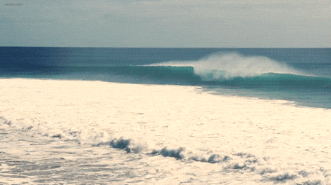 the beach summer GIF
