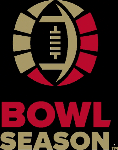 bowlseason football ncaa college football bowl GIF