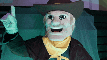 Excited Cowboy GIF by University of Science & Arts