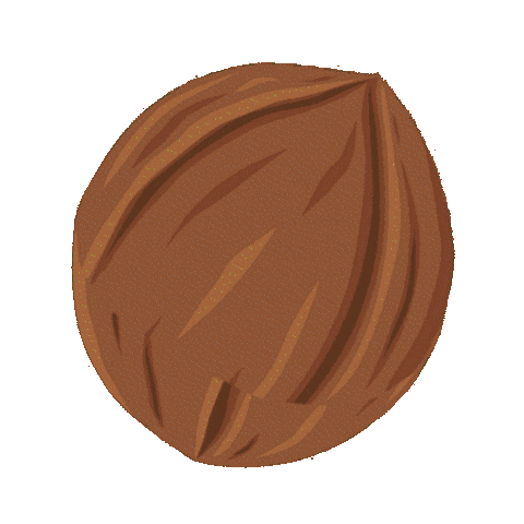 Fall Cooking Sticker by Carrington Farms