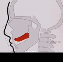 Sigma GIF