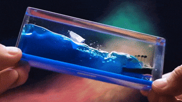 Animated GIF