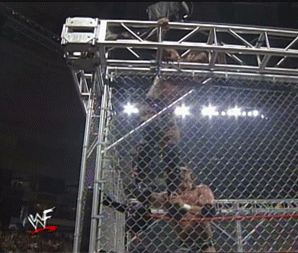8. Steel Cage Match > The Rock vs. Finn Bálor Giphy