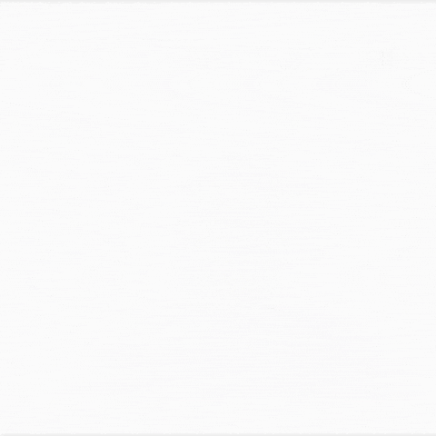 New York Giants Nfl GIF