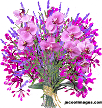 Bouquet Of Flowers Gifs Get The Best Gif On Giphy