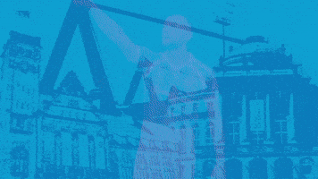 Football Tor GIF by ChemnitzerFC