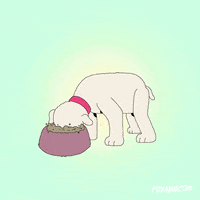 200.gif?cid=fc005b083b5a5afebdc8ae05995ed8d8bfa852e54666a00b&rid=200.gif&ct=g
