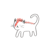 David Bowie Cat GIF by hoppip