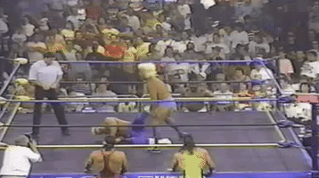 Sting Flair GIF