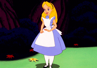giphy.gif?cid=ecf05e478501f0uf500lat2ojpcw7uz82pq53z53obg648br&rid=giphy.gif