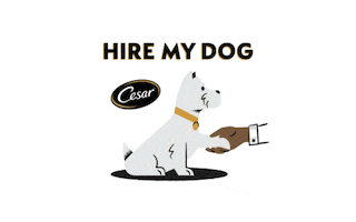 Hiremydog Sticker by Cesar Canine Cuisine