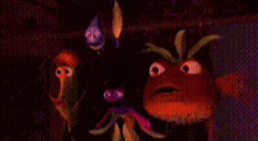 Shark Bait Tank GIF
