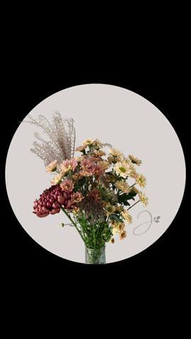 myJoy Boutique GIF