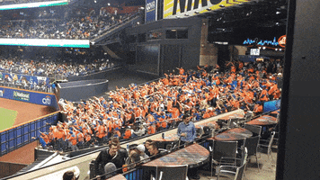 strike out citi field GIF by The 7 Line