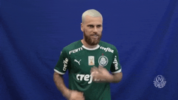 happy lucas lima GIF by SE Palmeiras