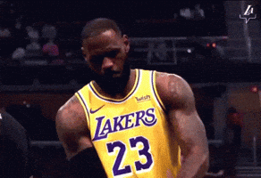 Basketball Lebron GIF
