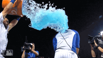 david shower GIF by MLB