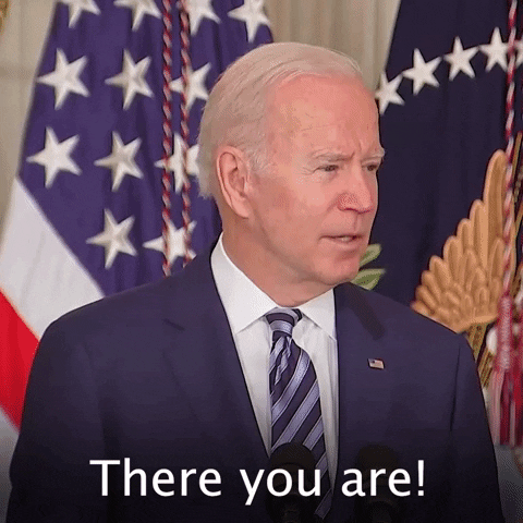 Searching Joe Biden GIF by The Democrats