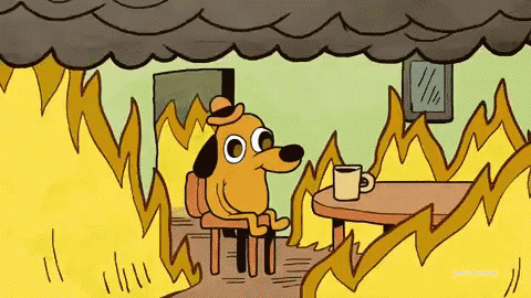 adult swim image: cartoon dog drinking coffee saying "this is fine" while room burns