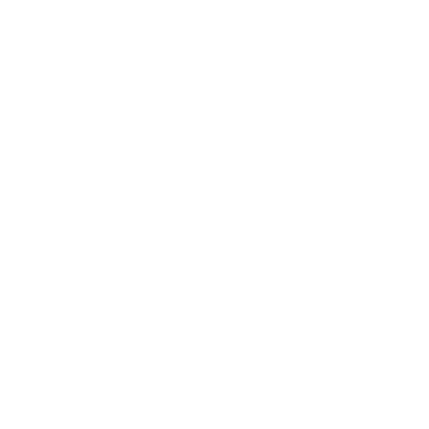 Boss No Sticker