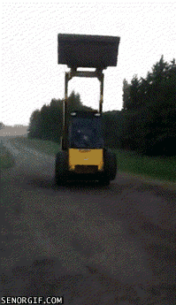 giphy.gif