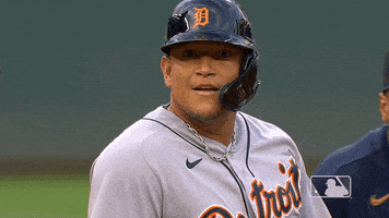 Major League Baseball Reaction GIF by Detroit Tigers