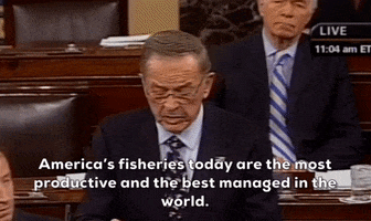 World Oceans Day GIF by GIPHY News