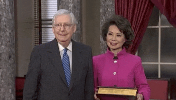 Mitch Mcconnell Freeze GIF by GIPHY News