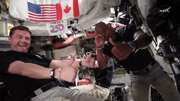 Excited Joy GIF by NASA