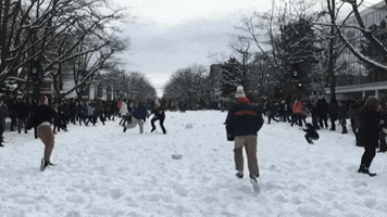 slow motion canada GIF by BFMTV