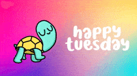 Tuesday Turtle GIF by Digital Pratik Tuesday Turtle GIF by Digital Pratik