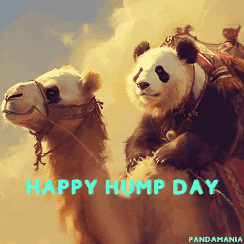 Happy Fun GIF by PandaMania