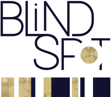 BlindSpotKC kansas city blind spot visually impaired blind spot kc GIF