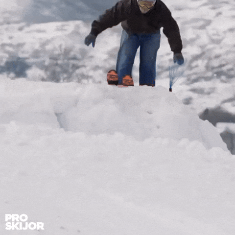 proskijor GIF