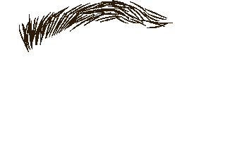 Havensalon Sticker