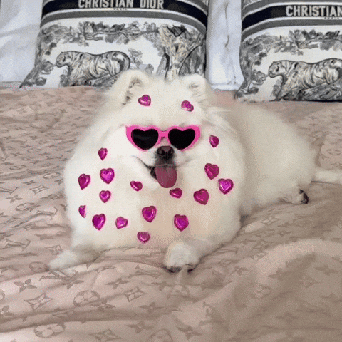 Dog GIF