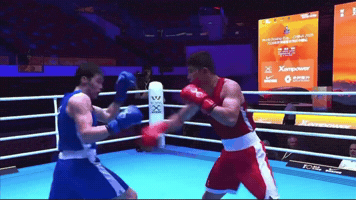 Boxing Punch GIF by Bekzatsport
