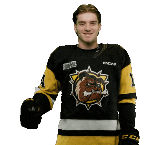 Brantford Bulldogs Sticker