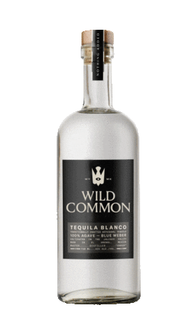 Wild_Common Sticker