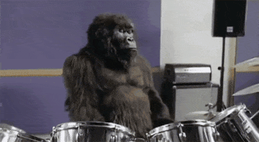 Drums Drumming GIF